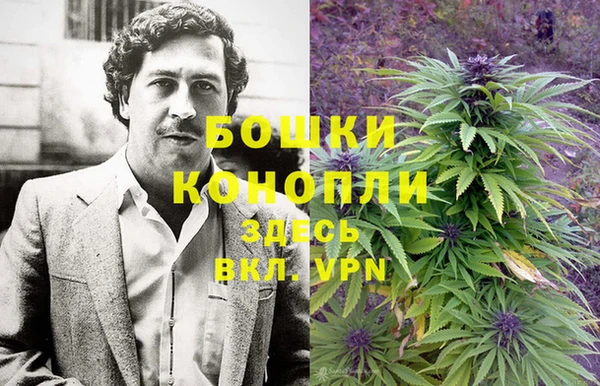 амф Дмитровск