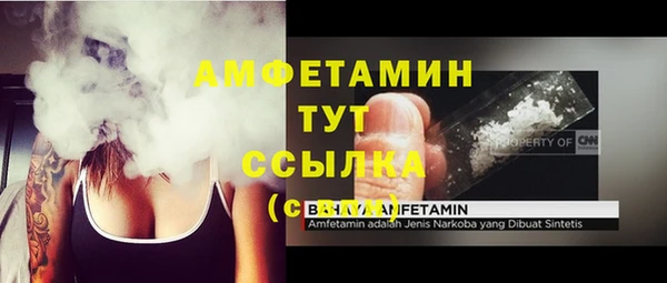 ПСИЛОЦИБИНОВЫЕ ГРИБЫ Елизово